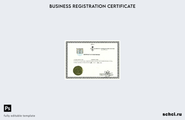 цифровая загрузка шаблона свидетельства о регистрации Мальдивских островов